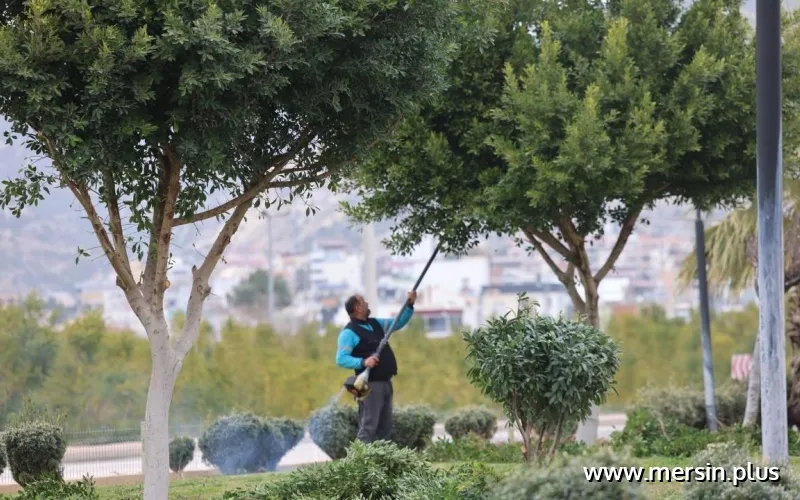 Gazi Mahallesi Demokrasi Parkı’nda Budama ve Çim Bakımı Yapıldı