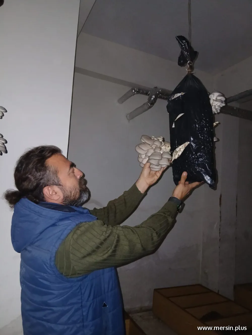 MAARİFİN KALBİNDE MARİFETLİ GENÇLİK: KEÇPAL Öğrencileri Kendi Mantarlarını Üretti
