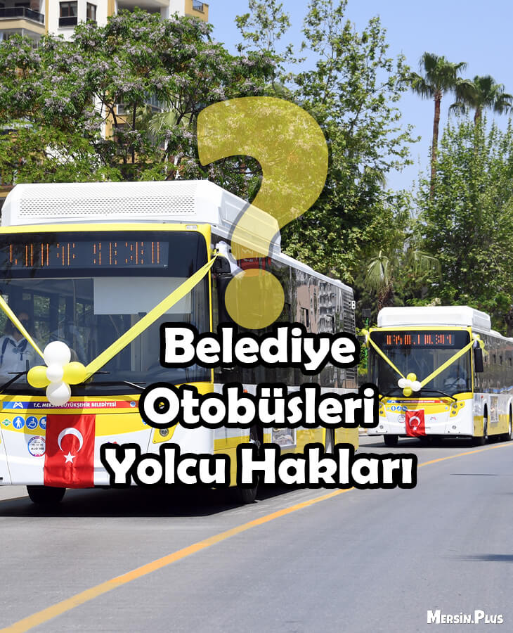 Belediye Otobusleri Yolcu Haklari