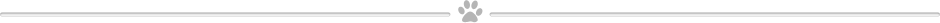 paw pati