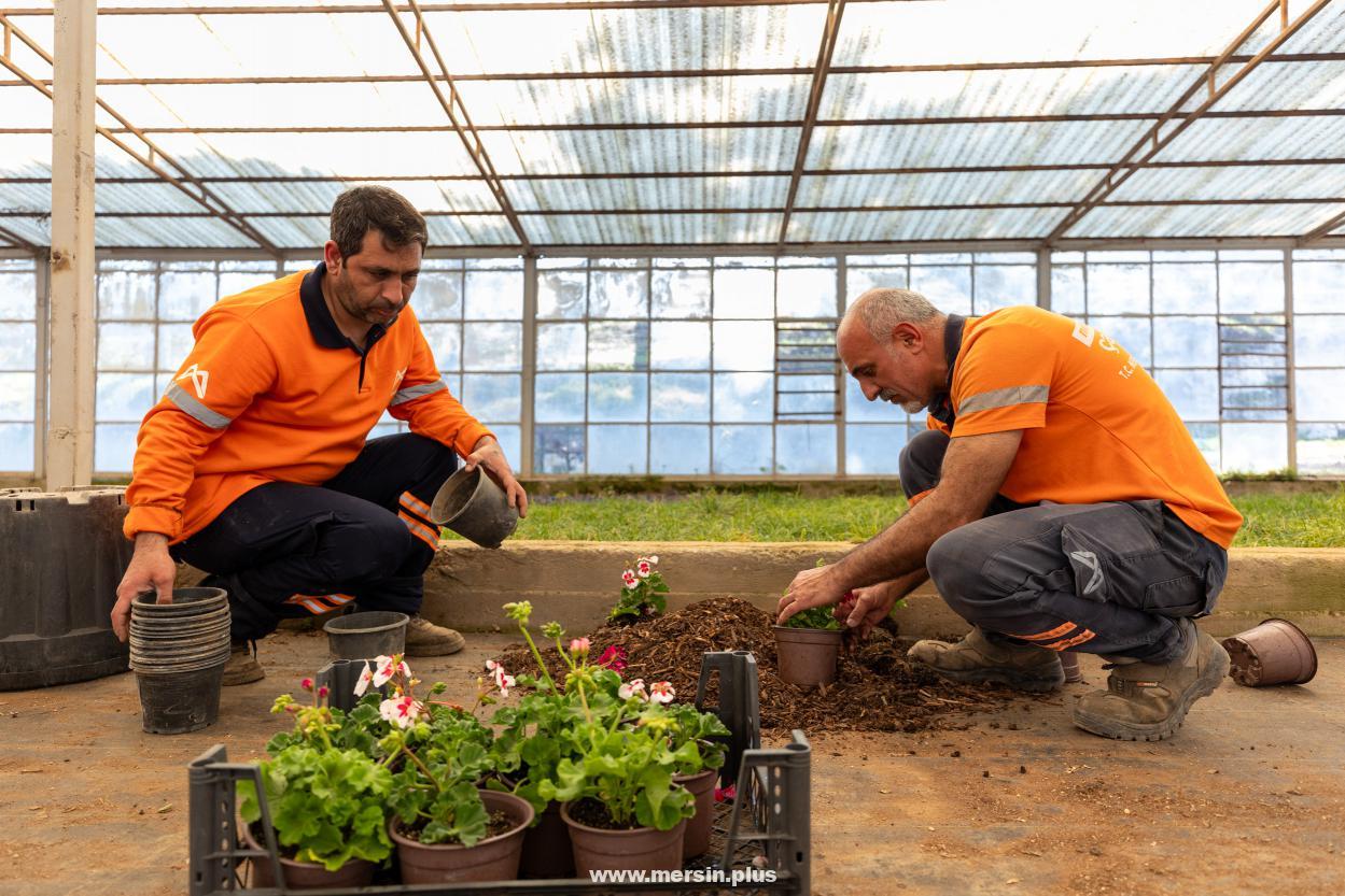 Büyükşehir, Kompost Üretimiyle Doğa ve Çevreyi Koruma Yolunda İlerliyor
