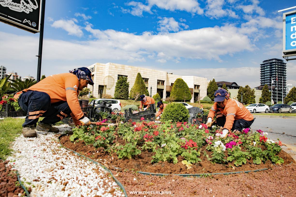 Mersin, Baharı Rengarenk Çiçeklerle Selamlıyor