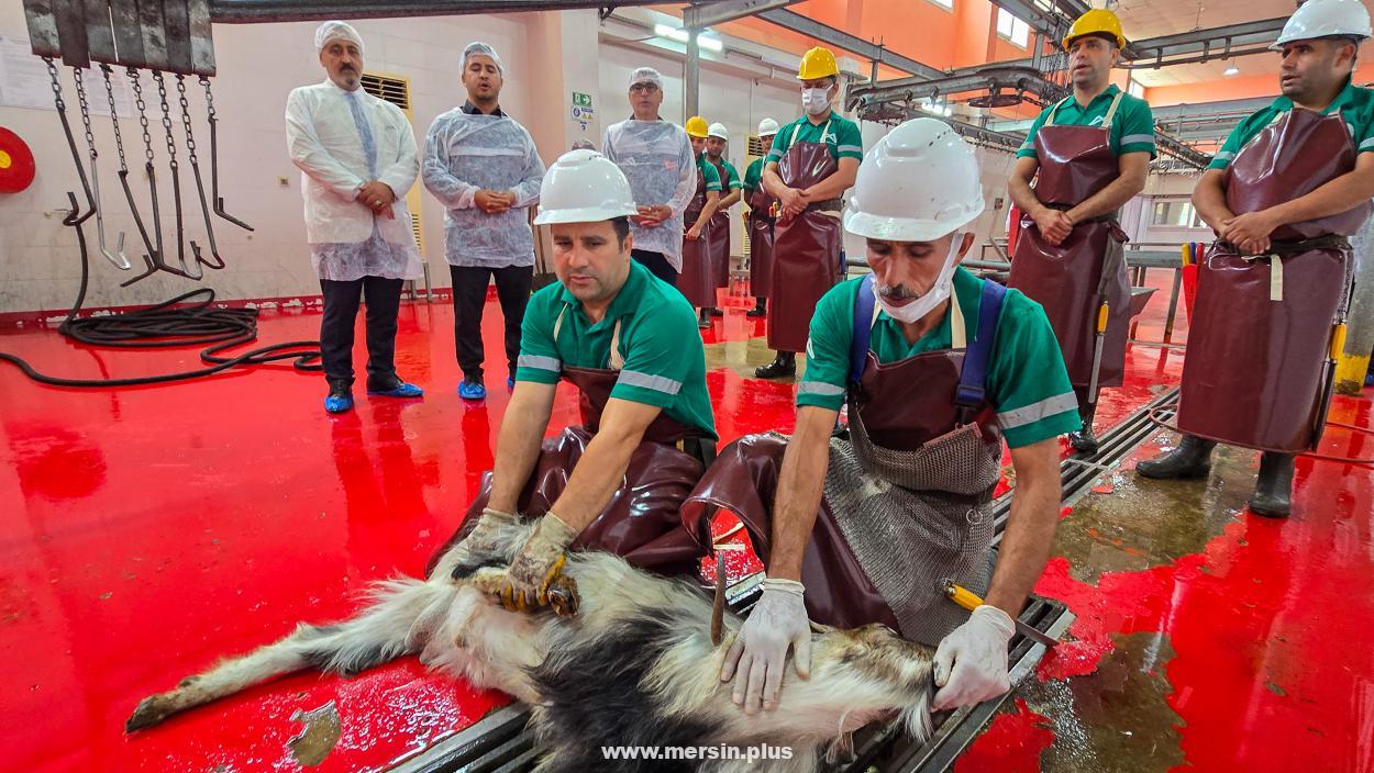 Mersin Büyükşehir Belediyesi Şehitlerin Anısına Kurban Kestirdi