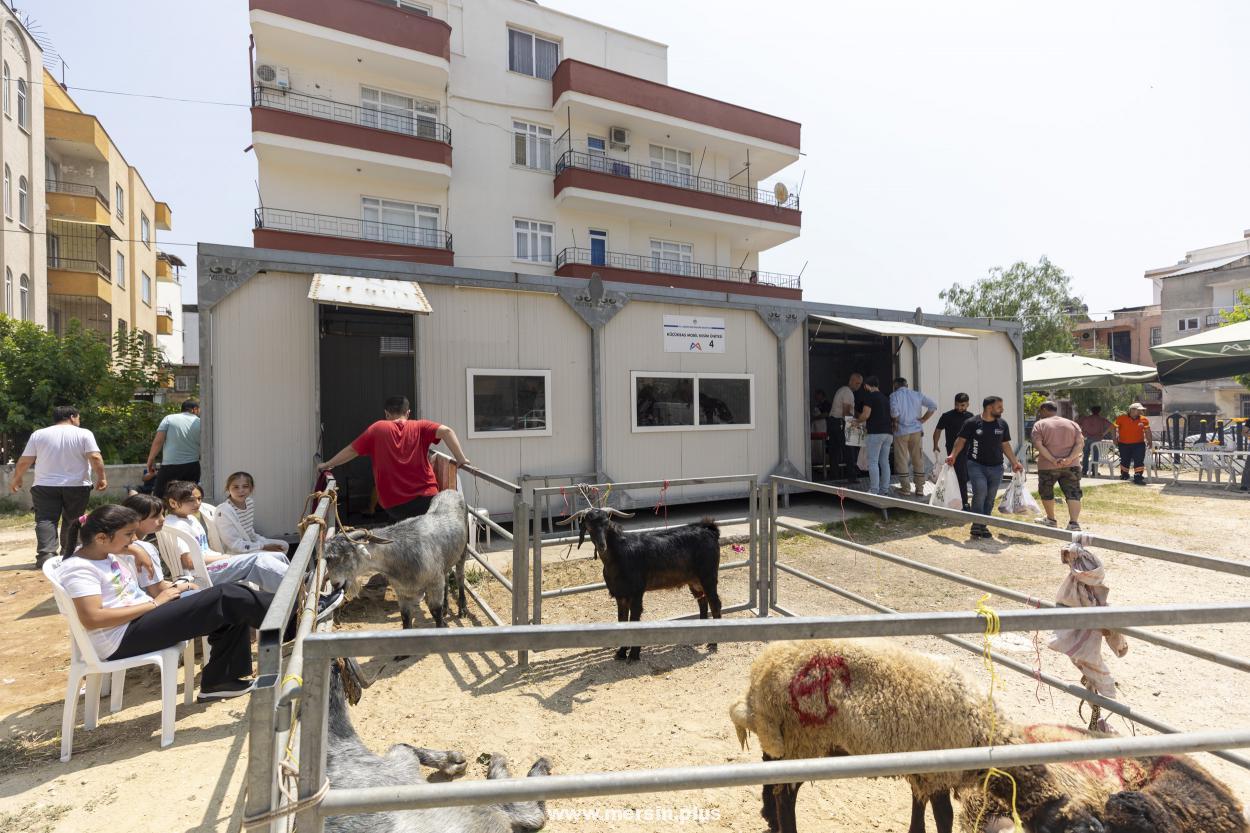 Mersin Büyükşehir’le Kurban Kesimi Hem Hijyenik Hem Ücretsiz