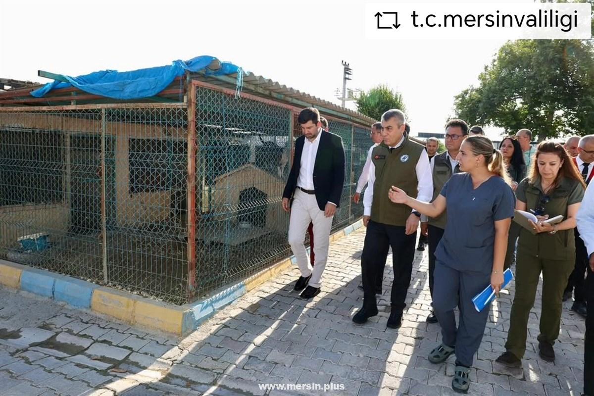 "Vali Toros, Tarsus Hayvan Bakımevini İnceledi"