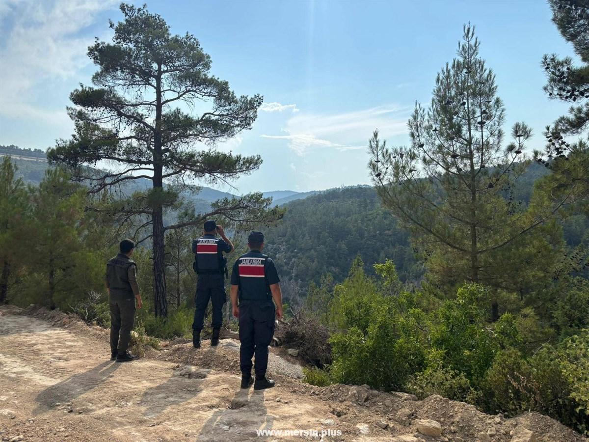 Jandarmadan Mersin Ormanlarına Hızlı Müdahale Planı