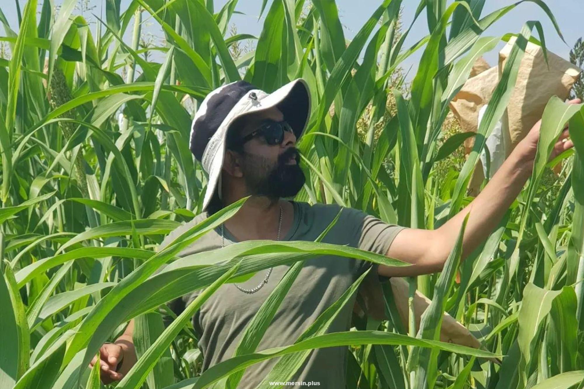 Prof. Dr. Faheem Shehzad Baloch’un Nohut Genotipleri Projesine TÜBİTAK 1002-A Desteği