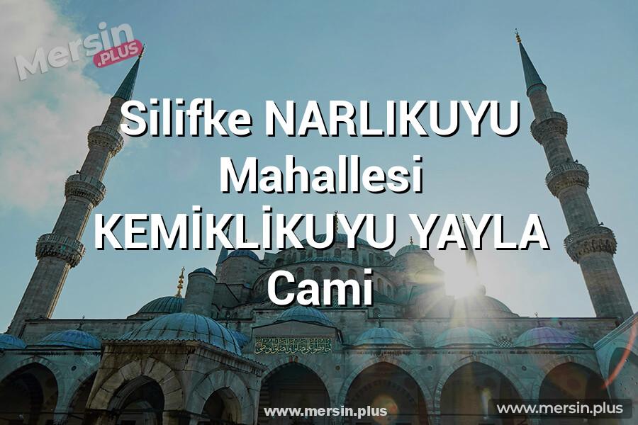 Silifke NARLIKUYU Mahallesi KEMİKLİKUYU YAYLA Cami