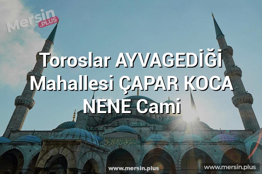 Toroslar AYVAGEDİĞİ Mahallesi ÇAPAR KOCA NENE Cami
