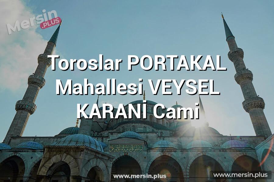 Toroslar PORTAKAL Mahallesi VEYSEL KARANİ Cami