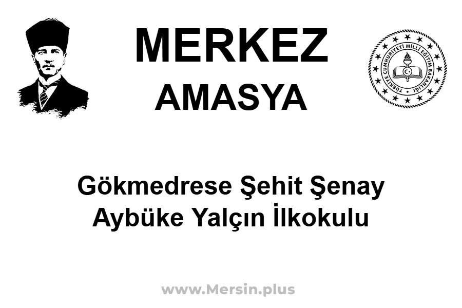 Gökmedrese Şehit Şenay Aybüke Yalçın İlkokulu - MERKEZ / AMASYA