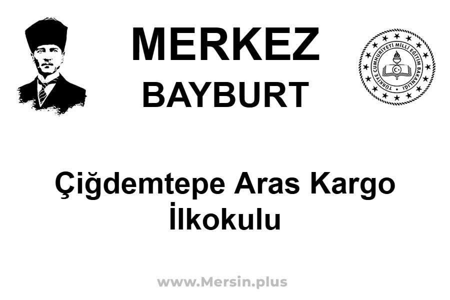 Çiğdemtepe Aras Kargo İlkokulu - MERKEZ / BAYBURT