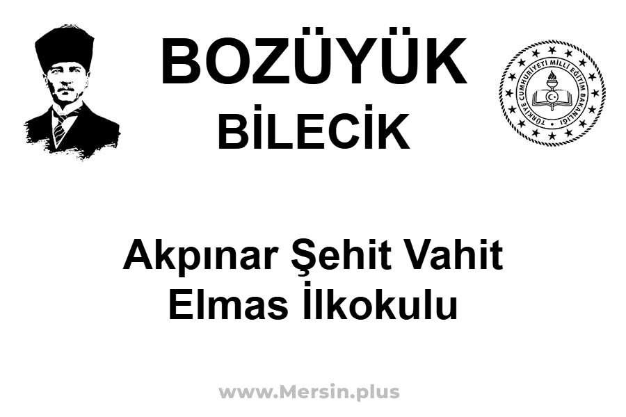 Akpınar Şehit Vahit Elmas İlkokulu - BOZÜYÜK / BİLECİK