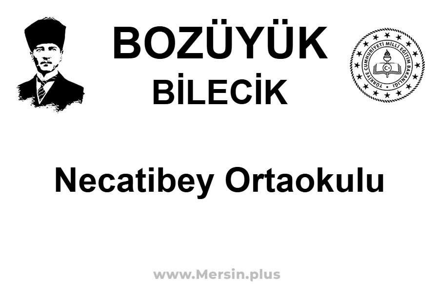 Necatibey Ortaokulu - BOZÜYÜK / BİLECİK