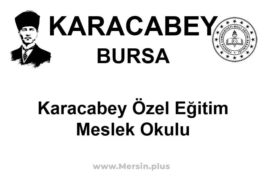 Karacabey Özel Eğitim Meslek Okulu - KARACABEY / BURSA