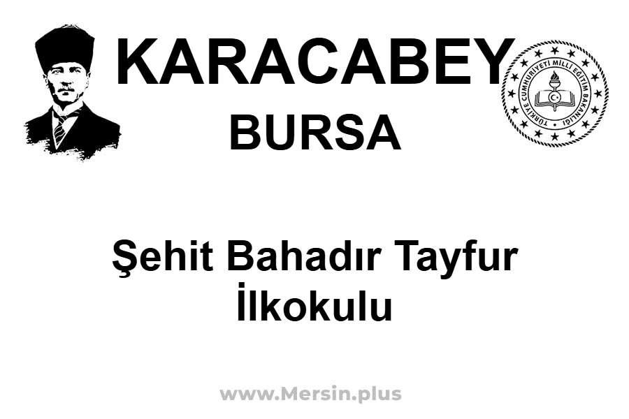 Şehit Bahadır Tayfur İlkokulu - KARACABEY / BURSA