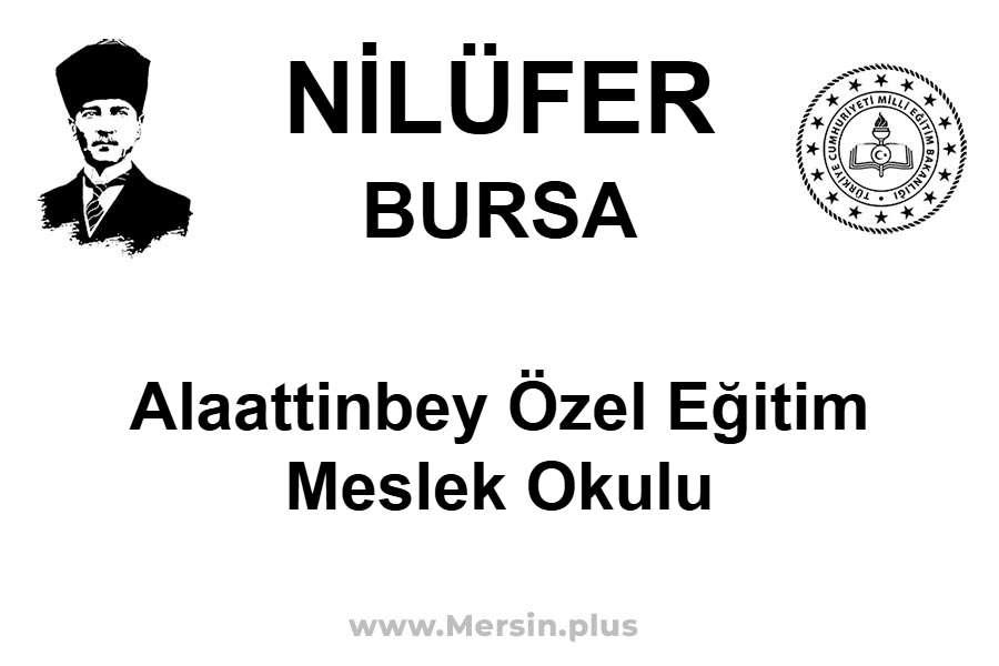 Alaattinbey Özel Eğitim Meslek Okulu - NİLÜFER / BURSA