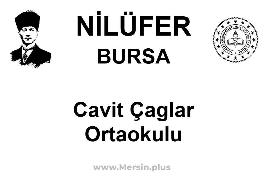 Cavit Çaglar Ortaokulu - NİLÜFER / BURSA