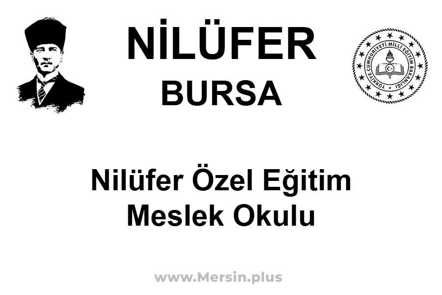 Nilüfer Özel Eğitim Meslek Okulu - NİLÜFER / BURSA