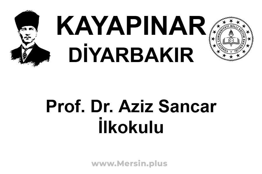 Prof. Dr. Aziz Sancar İlkokulu - KAYAPINAR / DİYARBAKIR
