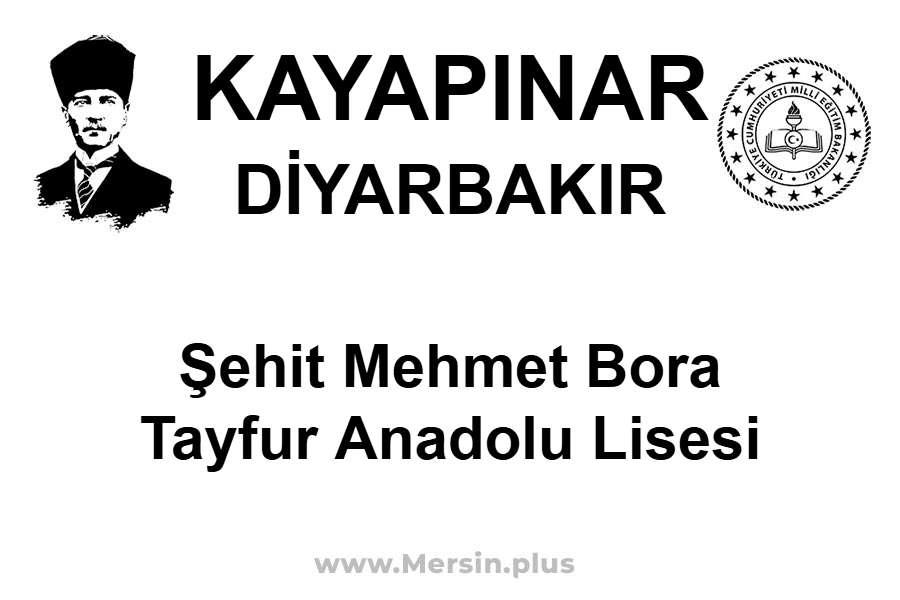 Şehit Mehmet Bora Tayfur Anadolu Lisesi - KAYAPINAR / DİYARBAKIR