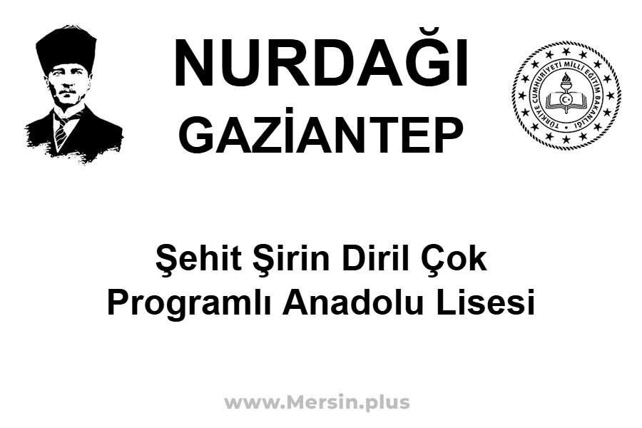 Şehit Şirin Diril Çok Programlı Anadolu Lisesi - NURDAĞI / GAZİANTEP