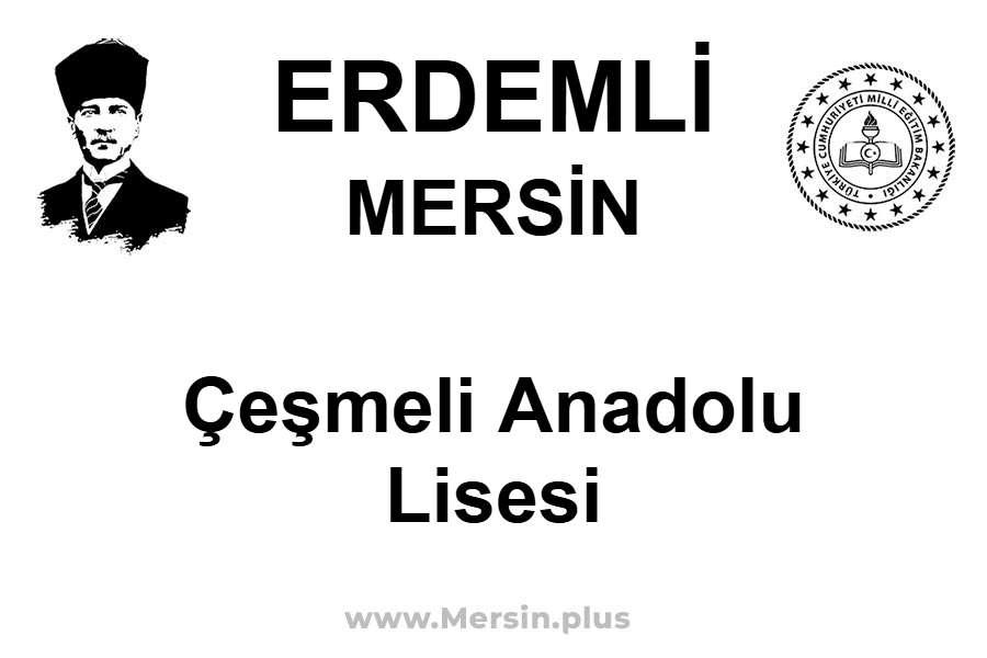 Çeşmeli Anadolu Lisesi - ERDEMLİ / MERSİN