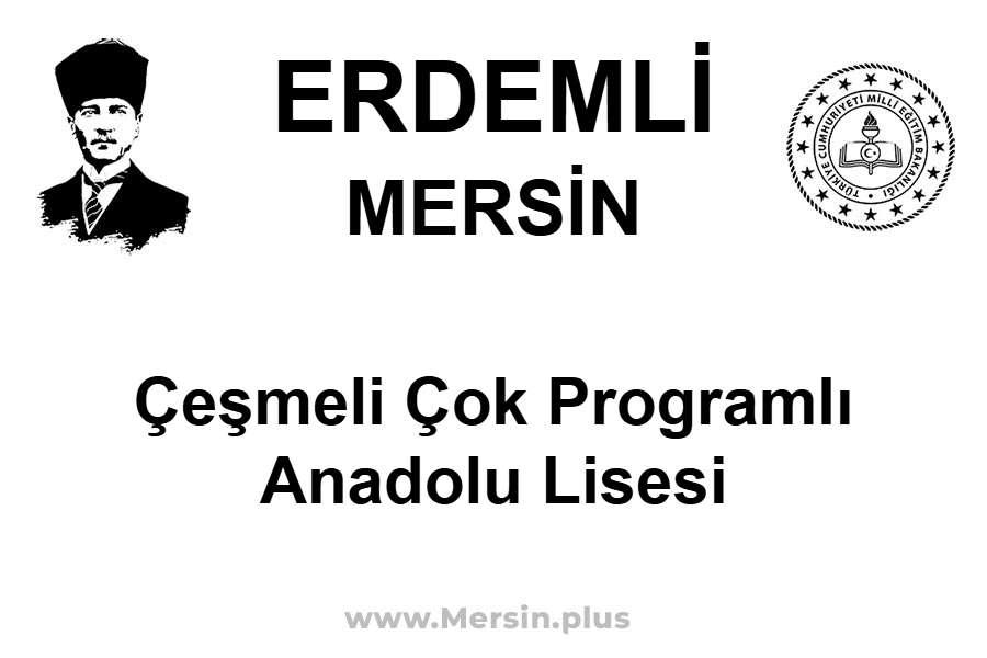 Çeşmeli Çok Programlı Anadolu Lisesi - ERDEMLİ / MERSİN