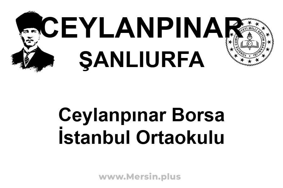 Ceylanpınar Borsa İstanbul Ortaokulu - CEYLANPINAR / ŞANLIURFA