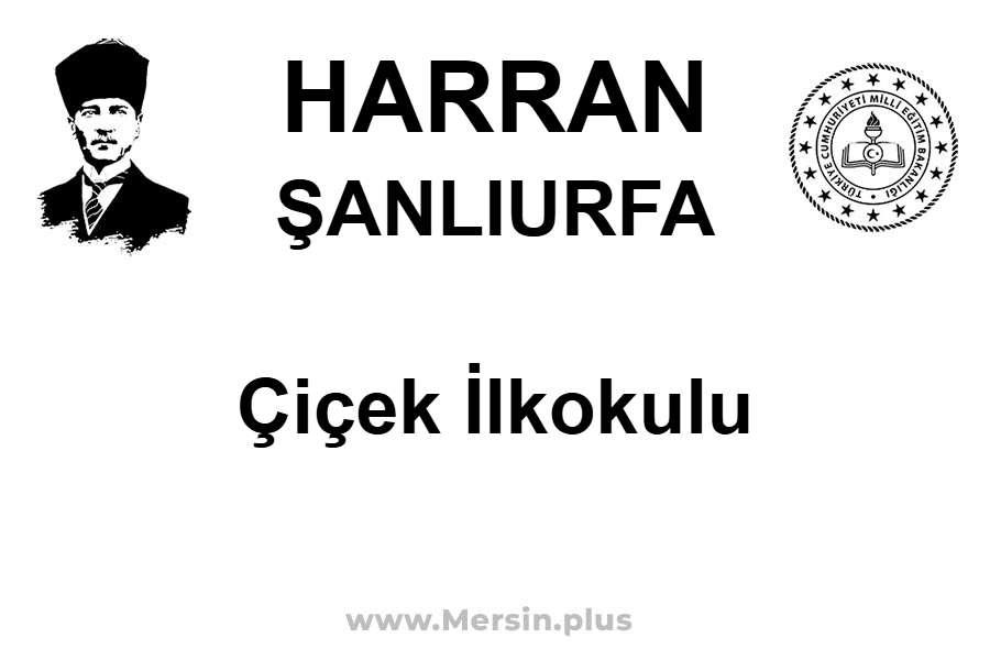 Çiçek İlkokulu - HARRAN / ŞANLIURFA