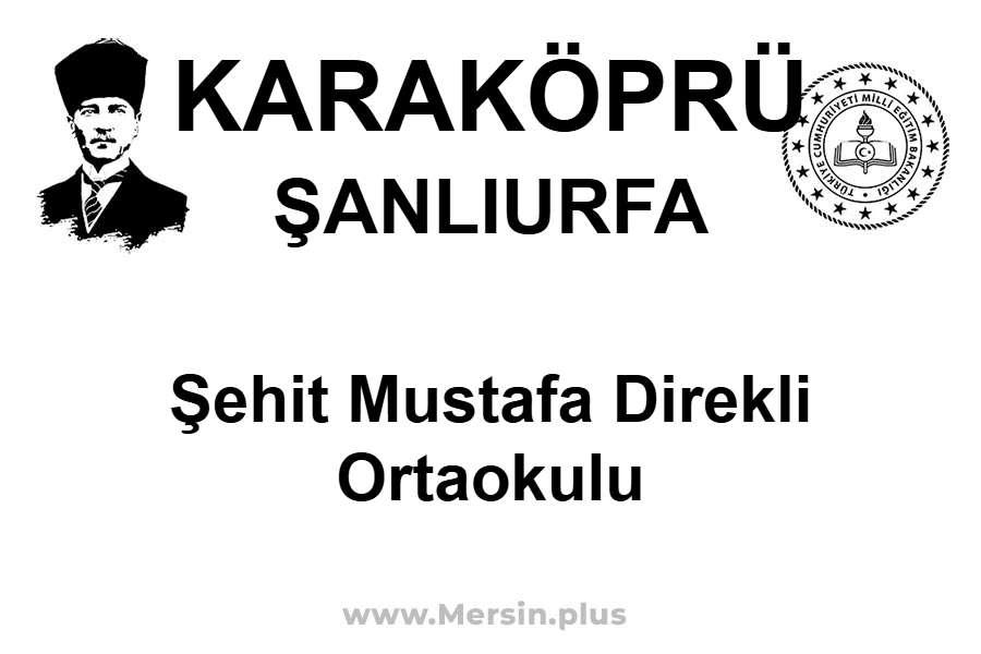 Şehit Mustafa Direkli Ortaokulu - KARAKÖPRÜ / ŞANLIURFA